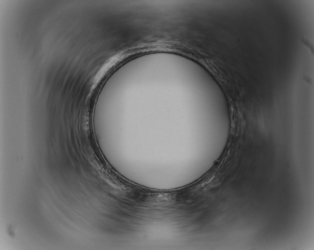 X0000103460056200809261850