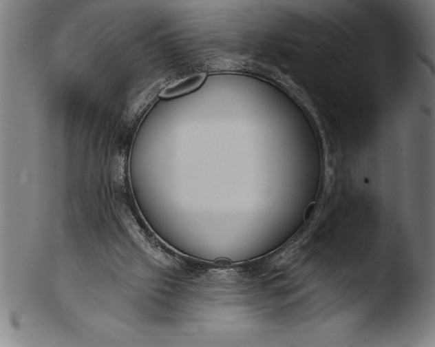 X0000103460057200809261850