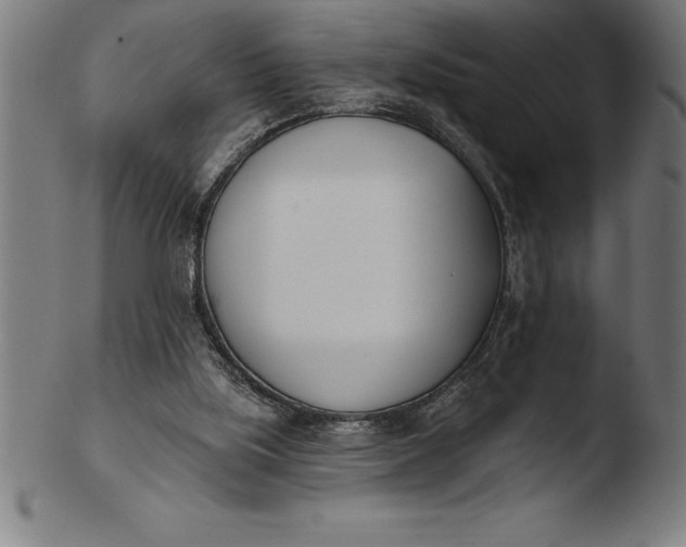 X0000103460059200809261850