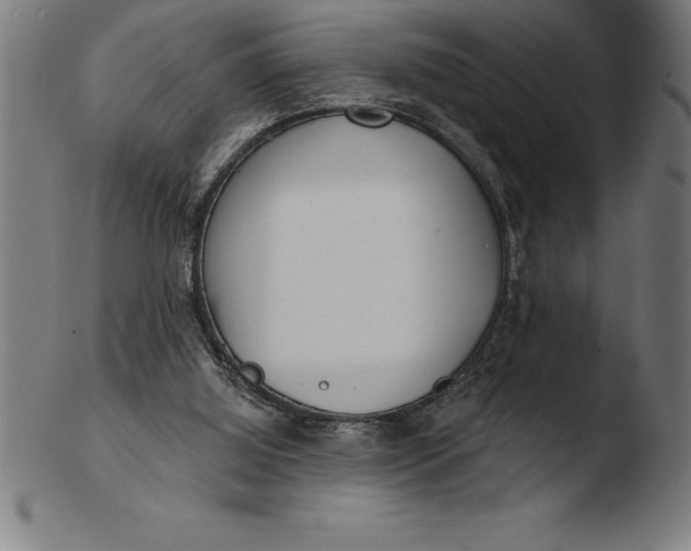 X0000103460060200809261850