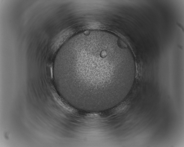 X0000103460061200809261850