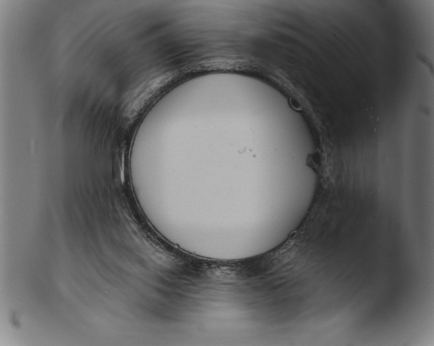 X0000103460062200809261850