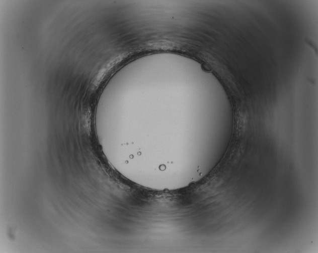 X0000103460064200809261850