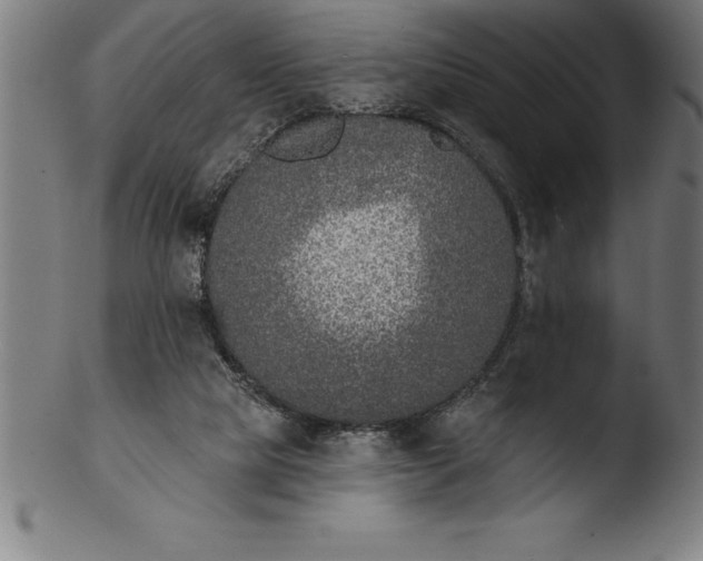 X0000103460065200809261850