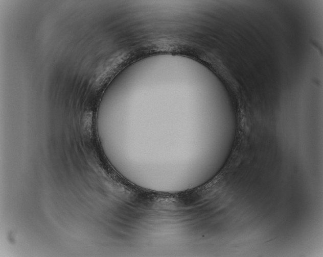 X0000103460066200809261850