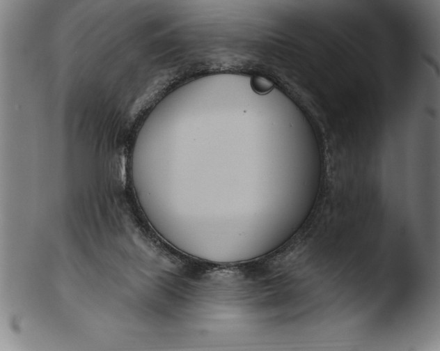 X0000103460067200809261850