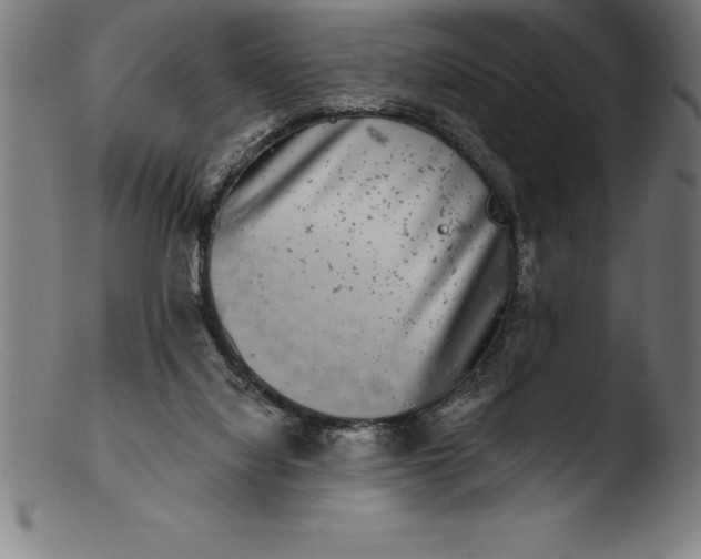 X0000103460068200809261850