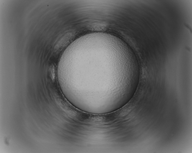 X0000103460069200809261850