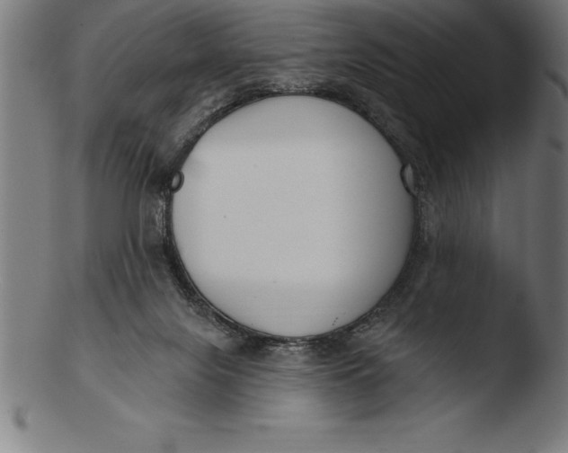 X0000103460071200809261850