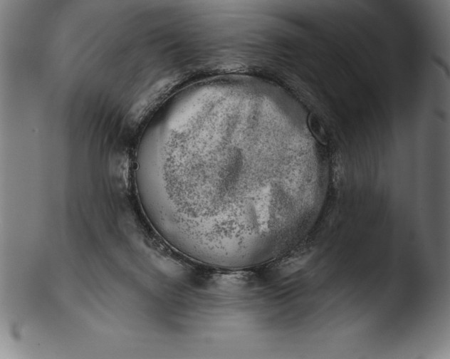 X0000103460072200809261850