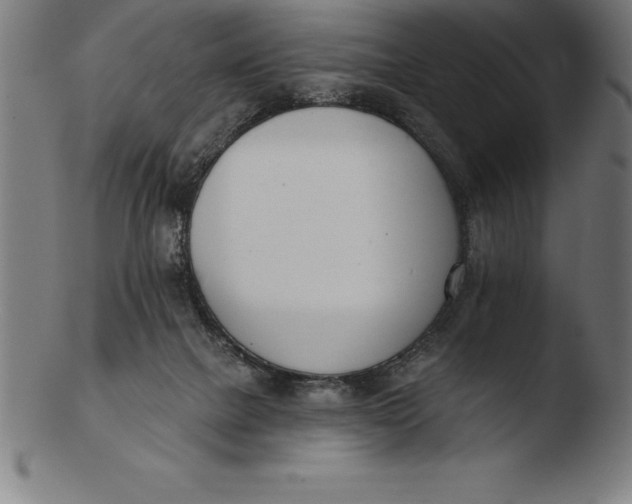 X0000103460073200809261850