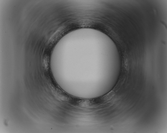 X0000103460074200809261850