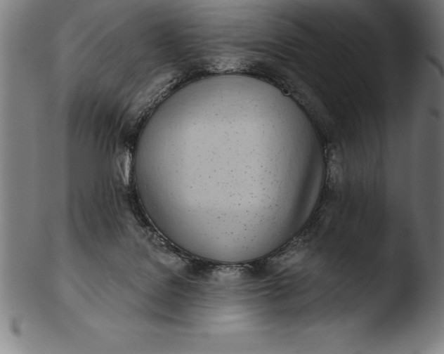 X0000103460076200809261850