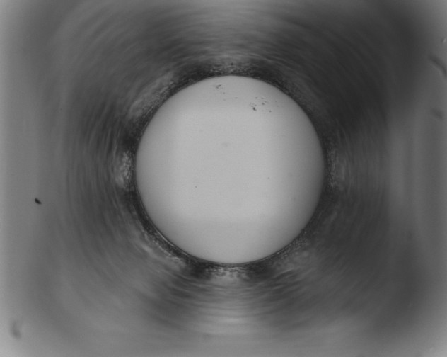 X0000103460077200809261850