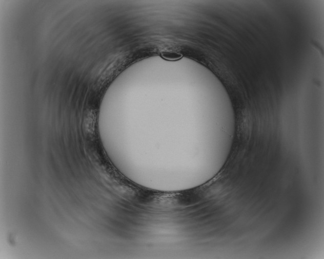 X0000103460078200809261850