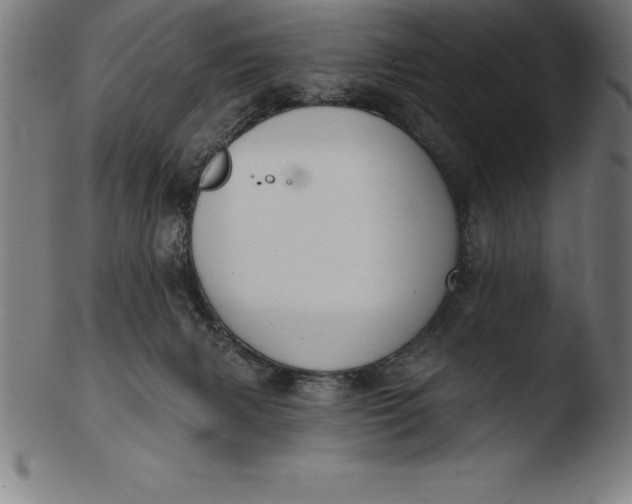 X0000103460079200809261850