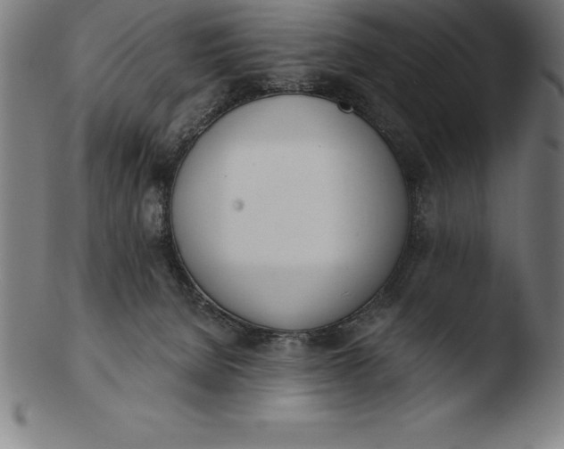 X0000103460080200809261850