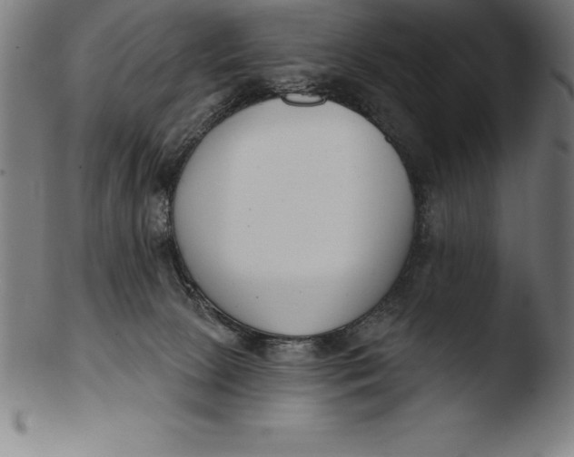 X0000103460081200809261850