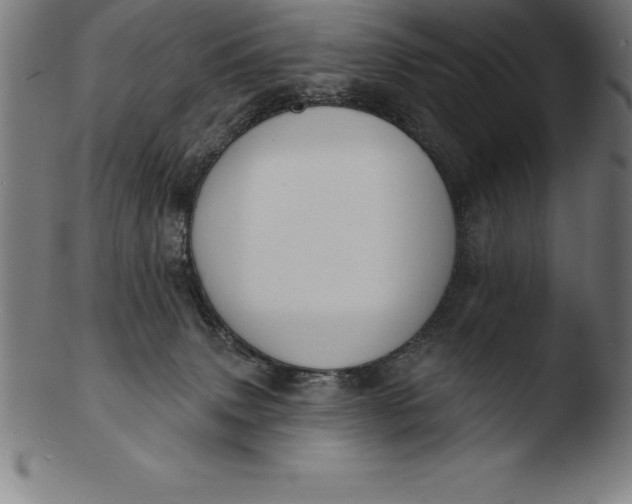 X0000103460083200809261850