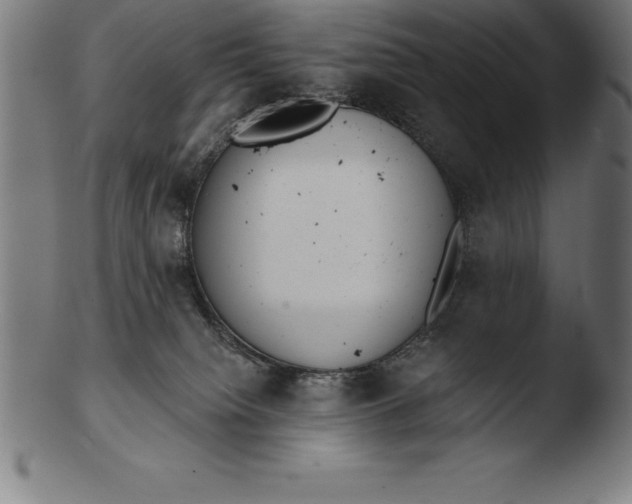 X0000103460084200809261850