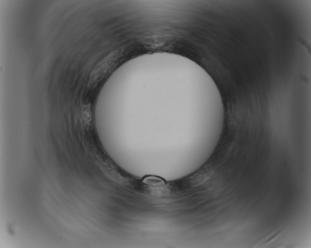 X0000103460085200809261850