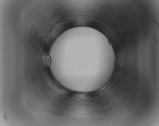 X0000103460086200809261850