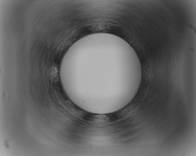 X0000103460087200809261850