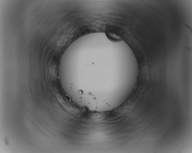 X0000103460088200809261850