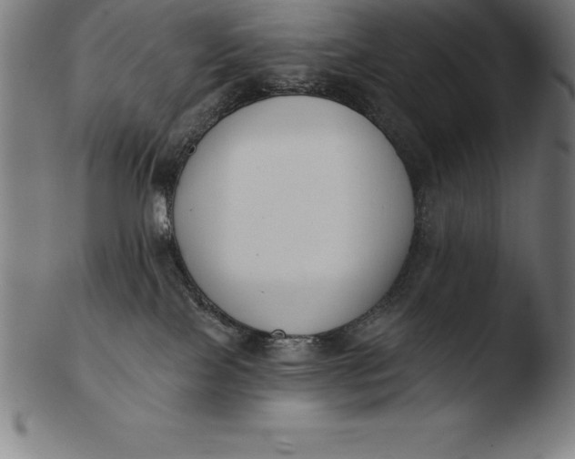 X0000103460089200809261850