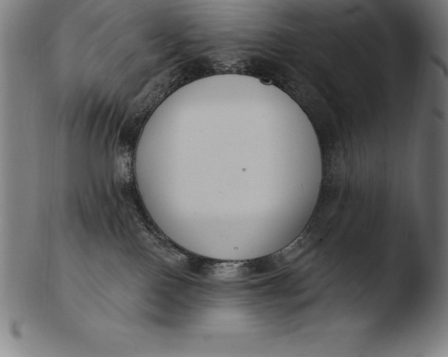 X0000103460090200809261850