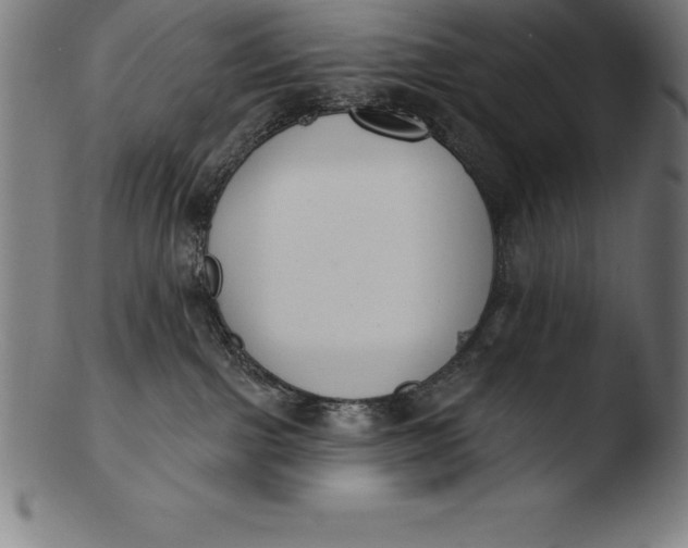 X0000103460091200809261850