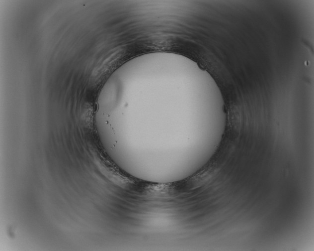 X0000103460092200809261850