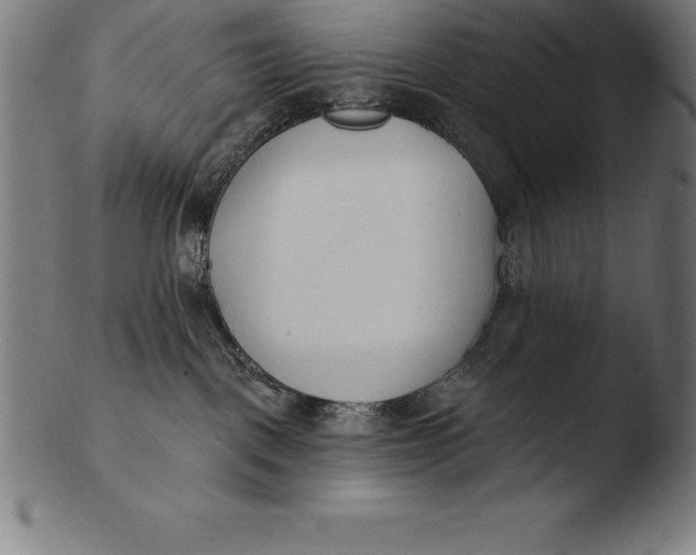 X0000103460093200809261850