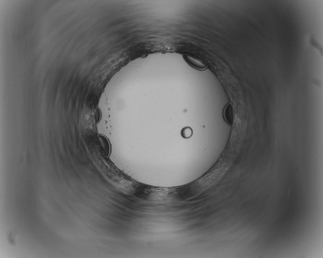 X0000103460096200809261851