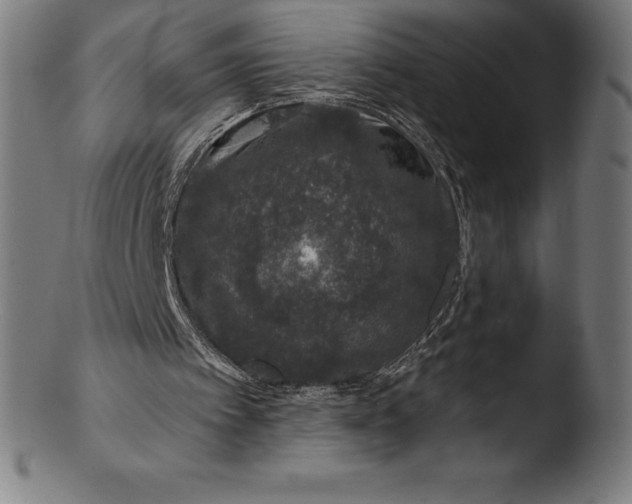 X0000103460097200809261850