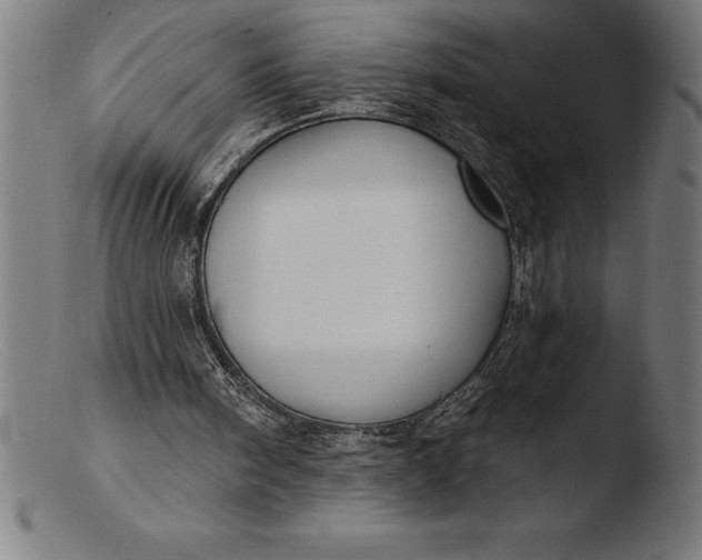 X0000103460098200809261850