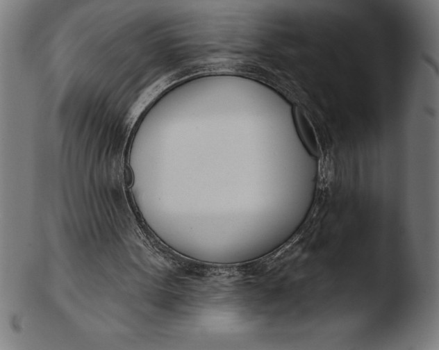 X0000103460099200809261850