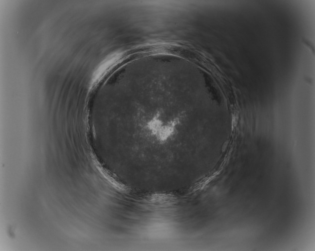 X0000103460101200809261850