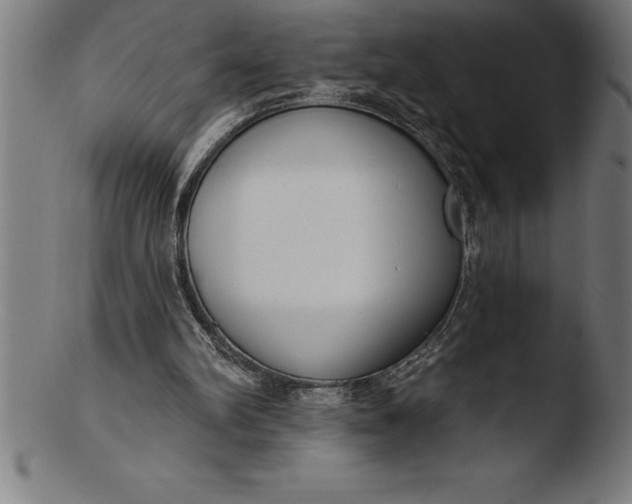 X0000103460102200809261850