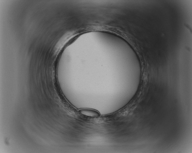 X0000103460103200809261850