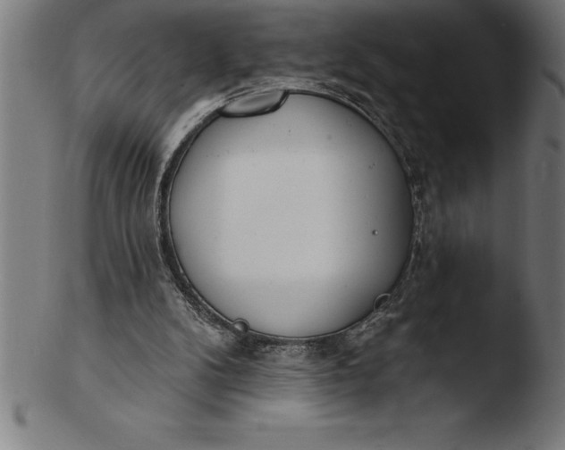 X0000103460104200809261850