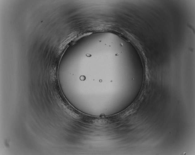 X0000103460105200809261850