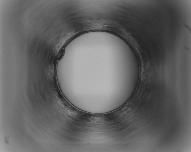 X0000103460107200809261850