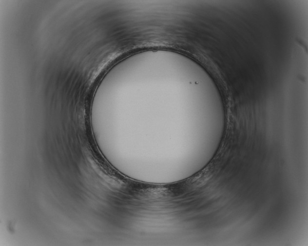 X0000103460108200809261850