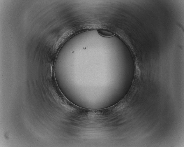 X0000103460109200809261850