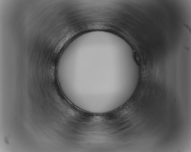 X0000103460111200809261850