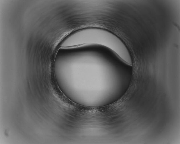 X0000103460112200809261850