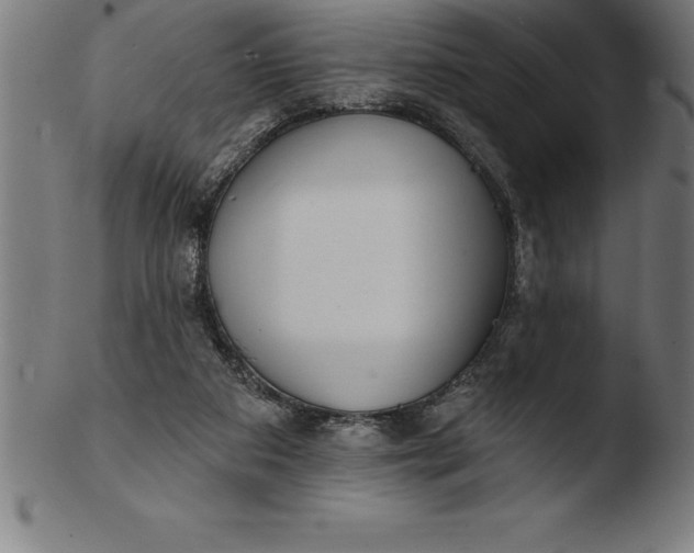 X0000103460113200809261850