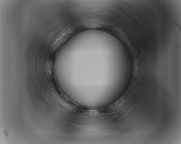 X0000103460114200809261850