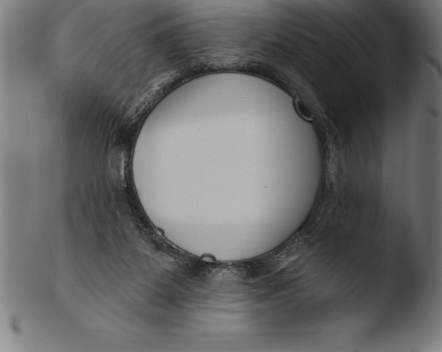 X0000103460115200809261850